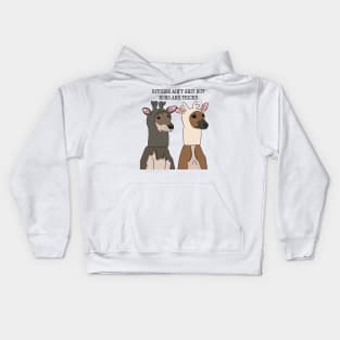 bitches ain’t shit Kids Hoodie